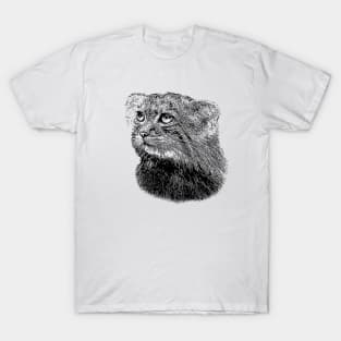 Manul-Pallas's cat T-Shirt